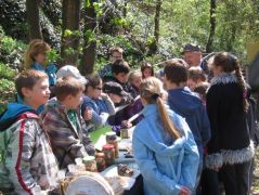 Hét csapatból az utolsó kettő...