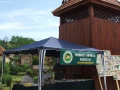 Sátrunk a harangtoronynál - még nyugi van...