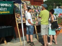 A látogatók csak jönnek, jönnek...