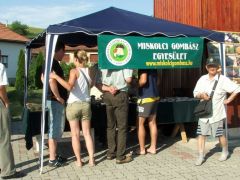 Ez már csak így megy, kedves bátyám!