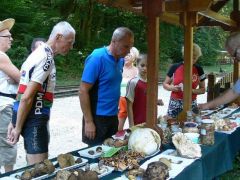 Mintegy 60 faj látható az asztalokon