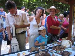 Valami nagyon érdekeset hallhattak!