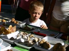 Ja kérem, aki már tud olvasni is!