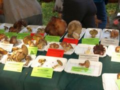 Így néz ki asztalunk a túlsó oldal felől