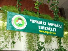 Végre van transzparensünk!