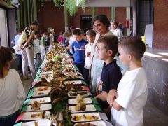 Általános érdeklődés