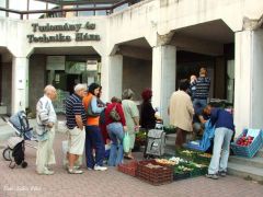 Élénkül a biopiac