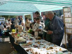 Gombabemutató, főzőverseny, teljes gőzzel!