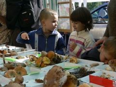 Érdeklődő ifjúság