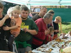 Amikor süt róluk a kíváncsiság!