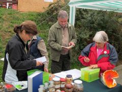 Mindig hoznak valami újat!