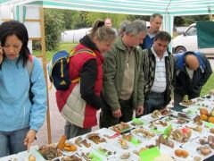 Képzeld, itt van amit múltkor mi is találtunk!