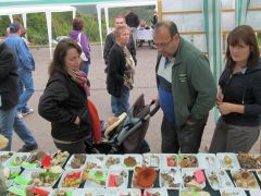 Angolul beszéltek, de hogy kik voltak?