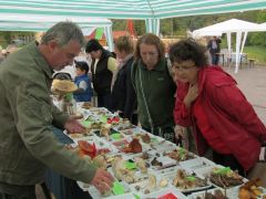 Laci hol ügyel, hol vizsgál, ahogy szükséges