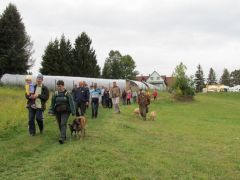 Élő gombát fogunk keresni!