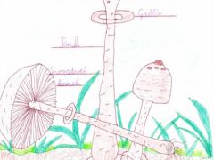 Különdíj: Kendeházi Janka 3.c