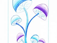 II. Kállai Kitti 5.a