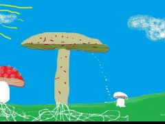 III. Kerényi Dániel 6.a