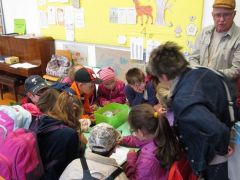 Egy kis nézelődés, aztán rajta!