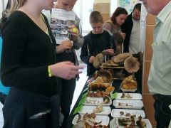 A felsősöket kicsit jobban megdolgoztattuk!