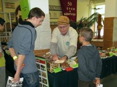 A tönkje csuklósan kifordítható!