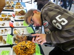 Akit igazán érdekel!