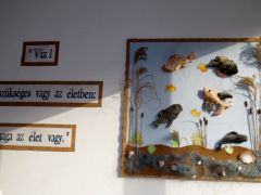 Erős az "ökológiai jelenlét" mindenfelé