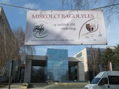 A madarászok hívtak - miért ne!