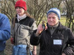 Zsófi a madárgyűrűzésnél segít