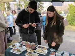 Sokan most fognak először kézbe gombát