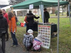 A védett gombákról új tablók kellenének!