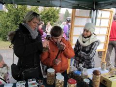 Hogy mik vannak! Hogyan készül?