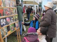 A gyerekek a legőszintébb érdeklődők