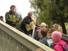 Eredményhirdetés a Pele-lak lépcsőjéről