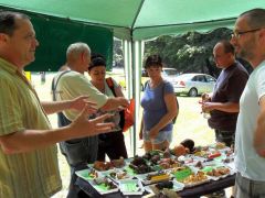 Ilyenkor valahogy mindig több gomba van