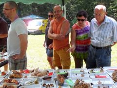 Tüskés őzláb - hogy mik vannak!