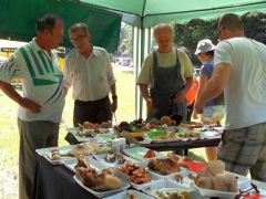 Jövés-menés közben...