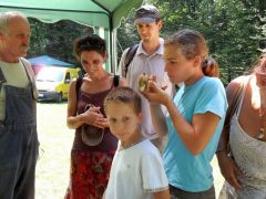 A galambgombák felismeréséről...