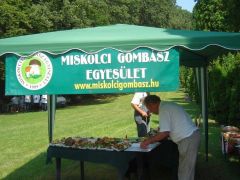 Folynak a bemutató előkészületei