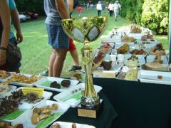 A főzőcsapat különdíjat nyert!