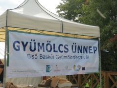 Itt voltunk
