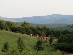 Hazafelé - jól éreztük magunkat
