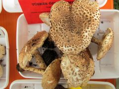 A kis termetű őzlábakkal vigyázni kell!