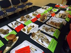 Díszítésre nem sok hely maradt...