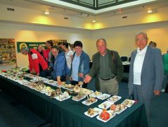 Alapfokú tanfolyamosaink az első látogatók