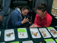 Vérszemet kaptak a lányok!