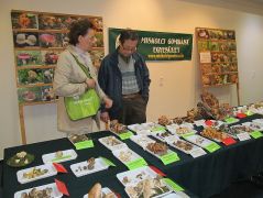 Nem mindenki szereti, ha "zaklatjuk"