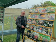 Balázs dilemmája: eláznak, vagy kibírják?