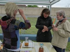 Edina finom gyógyteáit megkóstoltuk