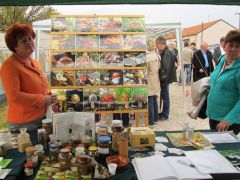 Részlet a standunkról